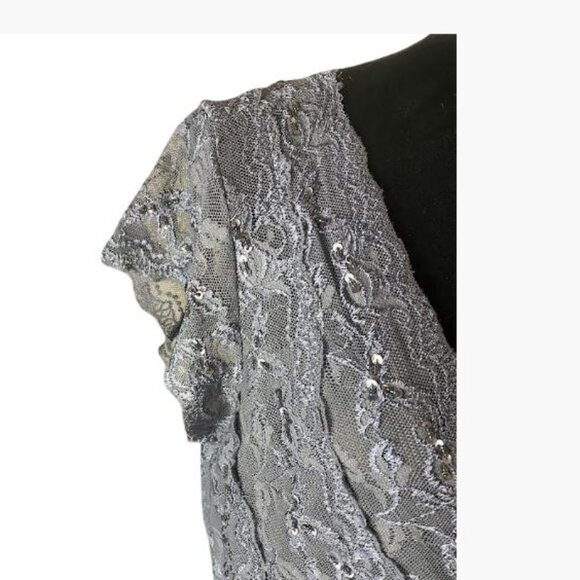 Blu Sage Medium Gray Lace Cocktail Evening Dress With Sequins Size 12 EUC - Picture 5 of 10